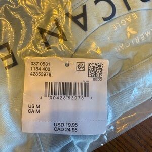 American Eagle Outfitters Light Blue Tee